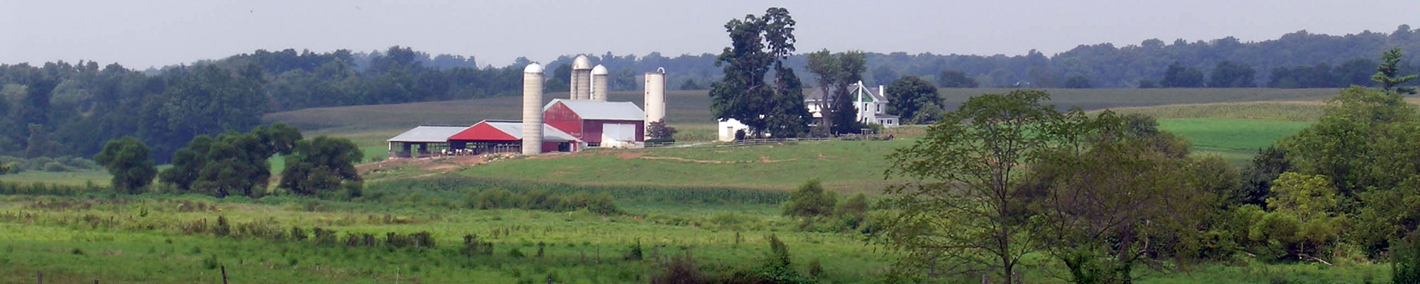 farm