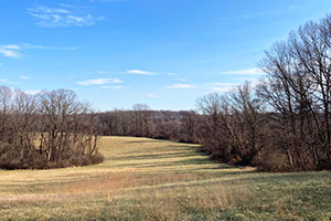 Elk Township