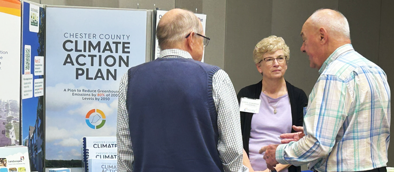 project examples photo