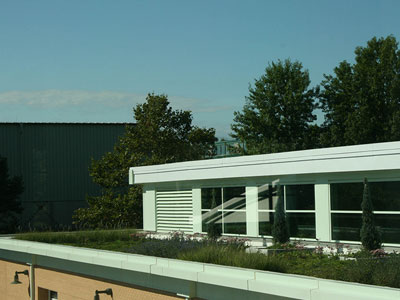 gree roof