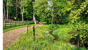 Red Clay Creek