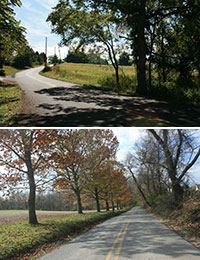 windy roads