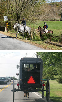 horses and buggy