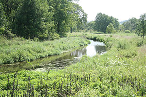 sadsbury woods