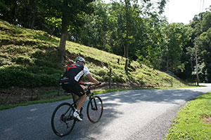 Biker on a Road